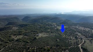 Αγροτεμάχια 5.000 τ.μ. πρός πώληση, Μεσσηνία, Αίπεια-thumb-1