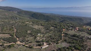 Αγροτεμάχια 5.000 τ.μ. πρός πώληση, Μεσσηνία, Αίπεια-thumb-17