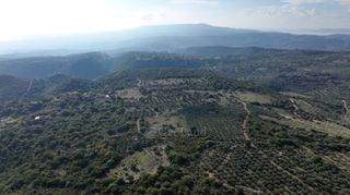 Αγροτεμάχια 5.000 τ.μ. πρός πώληση, Μεσσηνία, Αίπεια-thumb-11