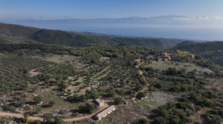 Αγροτεμάχια 5.000 τ.μ. πρός πώληση, Μεσσηνία, Αίπεια-thumb-9