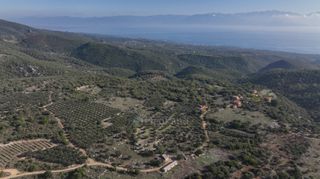 Αγροτεμάχια 5.000 τ.μ. πρός πώληση, Μεσσηνία, Αίπεια-thumb-21