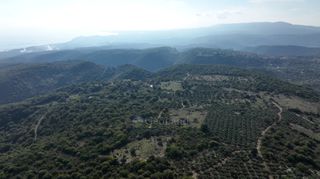 Αγροτεμάχια 5.000 τ.μ. πρός πώληση, Μεσσηνία, Αίπεια-thumb-13