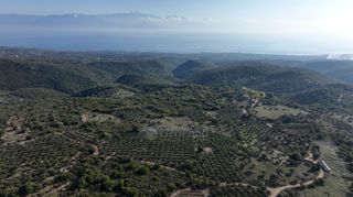Αγροτεμάχια 5.000 τ.μ. πρός πώληση, Μεσσηνία, Αίπεια-thumb-18