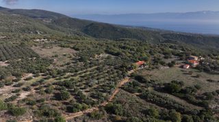 Αγροτεμάχια 5.000 τ.μ. πρός πώληση, Μεσσηνία, Αίπεια-thumb-14