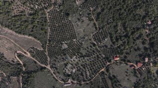 Αγροτεμάχια 5.000 τ.μ. πρός πώληση, Μεσσηνία, Αίπεια-thumb-10