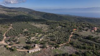 Αγροτεμάχια 5.000 τ.μ. πρός πώληση, Μεσσηνία, Αίπεια-thumb-6