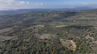 Αγροτεμάχια 5.000 τ.μ. πρός πώληση, Μεσσηνία, Αίπεια-thumb-4