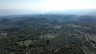 Αγροτεμάχια 5.000 τ.μ. πρός πώληση, Μεσσηνία, Αίπεια-thumb-15