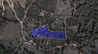 Αγροτεμάχια 5.000 τ.μ. πρός πώληση, Μεσσηνία, Αίπεια-thumb-2