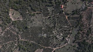 Αγροτεμάχια 5.000 τ.μ. πρός πώληση, Μεσσηνία, Αίπεια-thumb-7