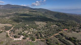 Αγροτεμάχια 5.000 τ.μ. πρός πώληση, Μεσσηνία, Αίπεια-thumb-3