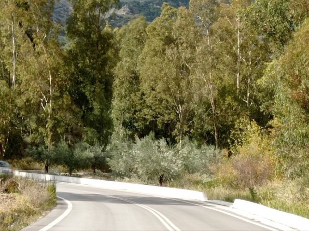 Αγροτεμάχια 3.958 τ.μ. πρός πώληση, Κορινθία, Ξυλόκαστρο