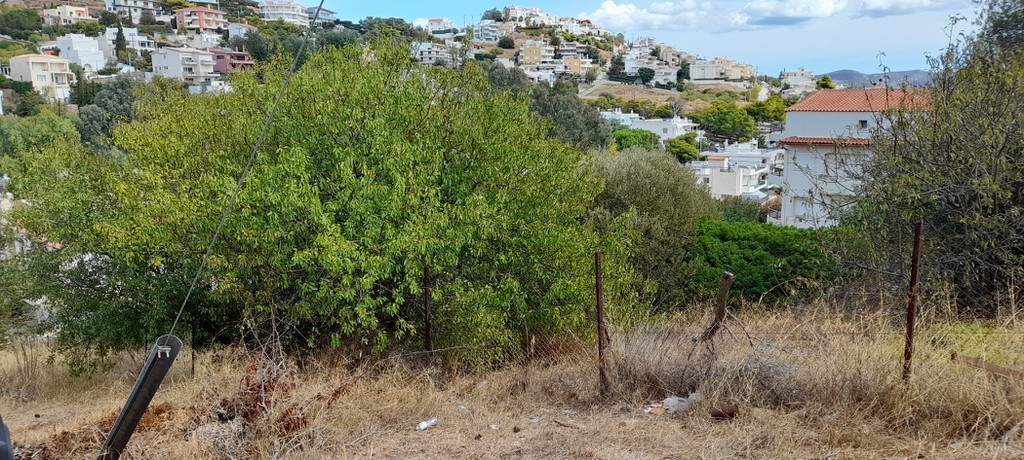 Οικόπεδο 1.300 τ.μ. προς πώληση, Άγιος Νικόλαος Αναβύσσου
