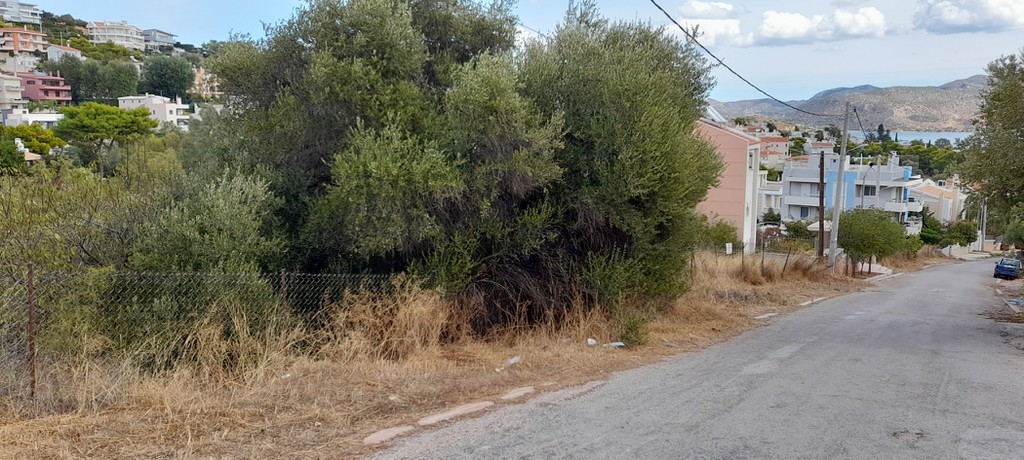 Οικόπεδο 1.300 τ.μ. προς πώληση, Άγιος Νικόλαος Αναβύσσου