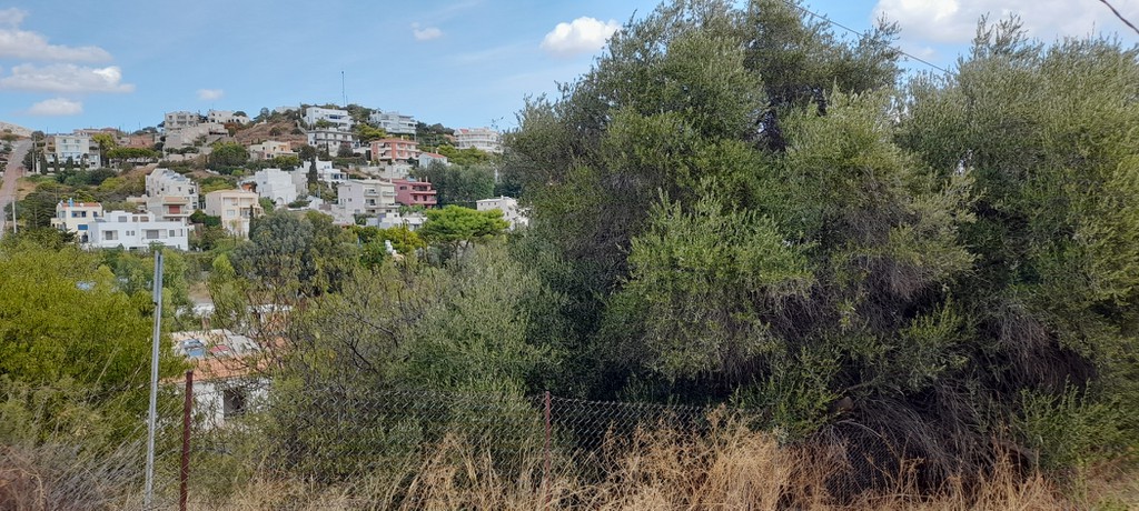 Οικόπεδο 1.300 τ.μ. προς πώληση, Άγιος Νικόλαος Αναβύσσου