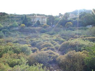 Land plot 1.480sqm for sale-Penteli » Center