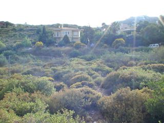 Land plot 1.480 sqm for sale, Athens - North, Penteli