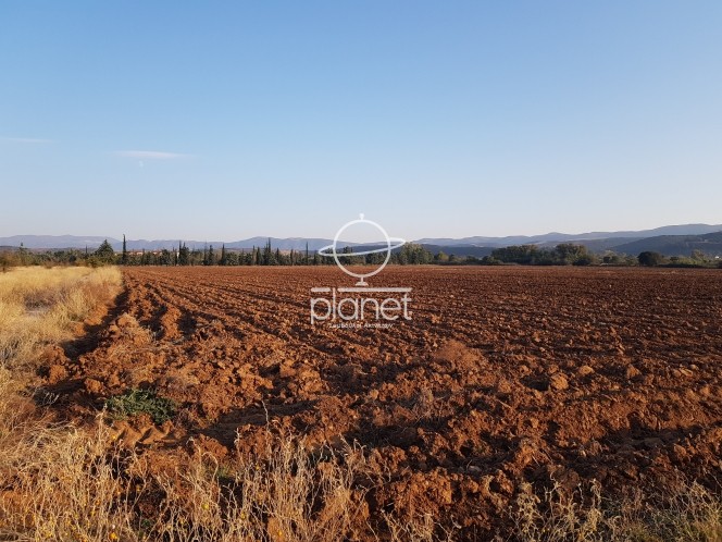 Αγροτεμάχια 30.991 τ.μ. προς πώληση, Γαλαρινός