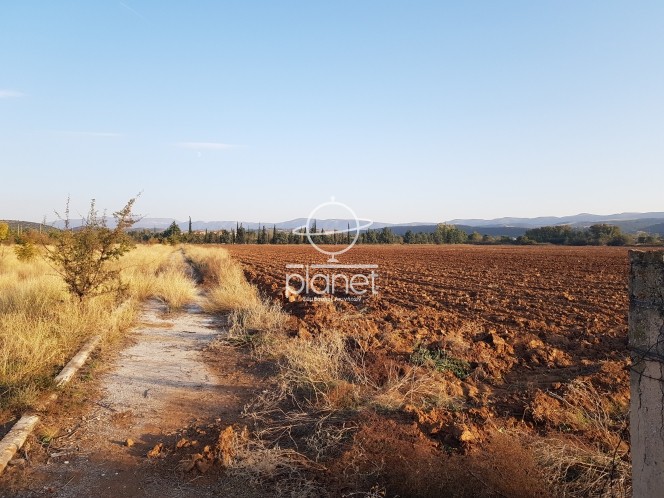Αγροτεμάχια 30.991 τ.μ. προς πώληση, Γαλαρινός