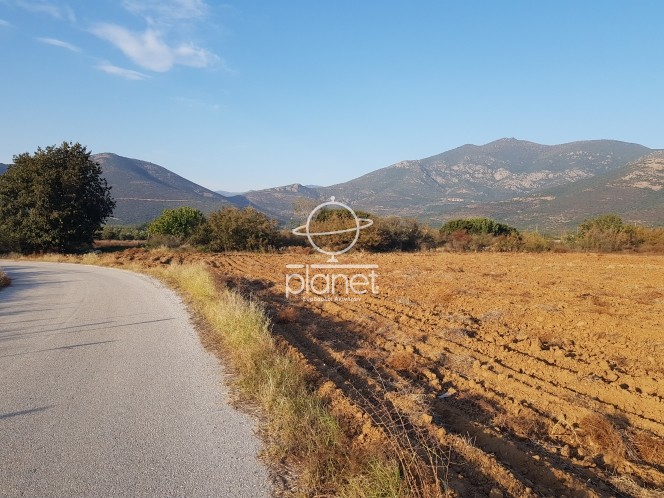 Αγροτεμάχια 8.347 τ.μ. προς πώληση, Γαλαρινός