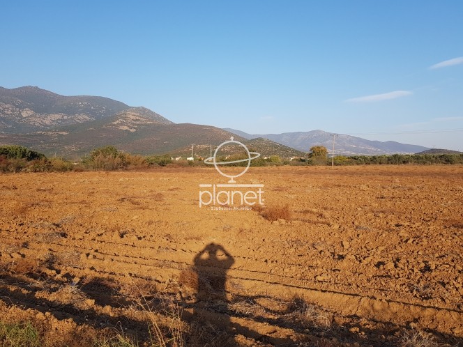 Αγροτεμάχια 8.347 τ.μ. προς πώληση, Γαλαρινός