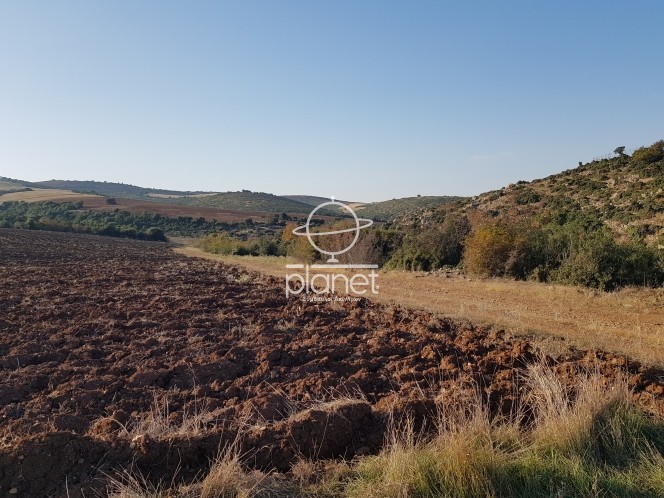 Αγροτεμάχια 19.684 τ.μ. προς πώληση, Γαλαρινός