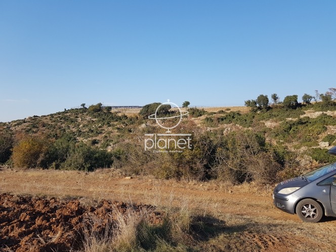 Αγροτεμάχια 19.684 τ.μ. προς πώληση, Γαλαρινός