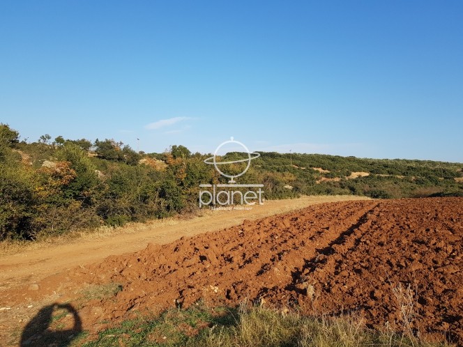 Αγροτεμάχια 19.684 τ.μ. προς πώληση, Γαλαρινός