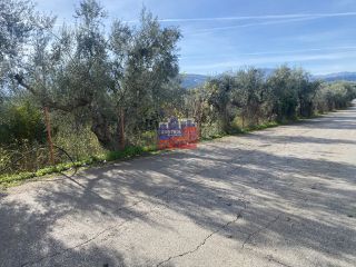 Οικόπεδο 2.800 τ.μ. για πώληση