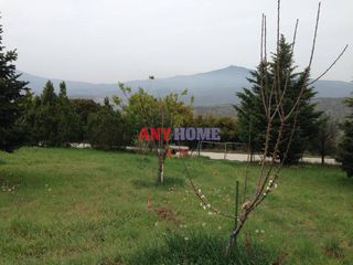 Αγροτεμάχια 1.505 τ.μ. για πώληση