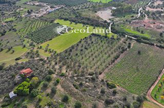 Αγροτεμάχια 10.700 τ.μ. προς πώληση, Πετροθάλασσα-thumb-9