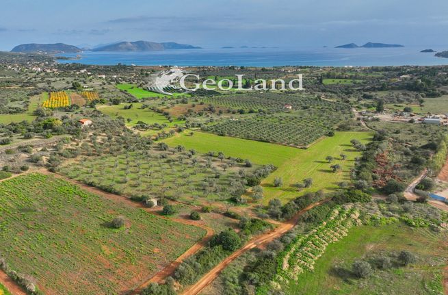 Αγροτεμάχια 10.700 τ.μ. για πώληση, Αργολίδα, Κρανίδι