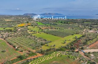Αγροτεμάχια 10.700 τ.μ. προς πώληση, Πετροθάλασσα-thumb-6