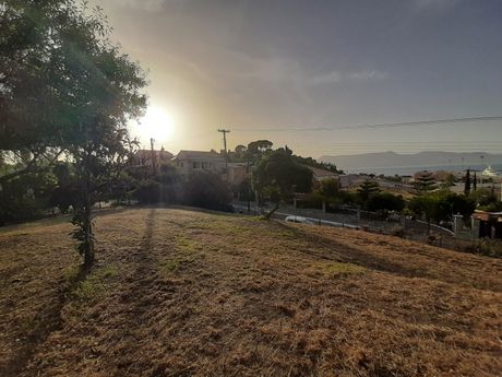 Οικόπεδο 12.217 τ.μ. για πώληση