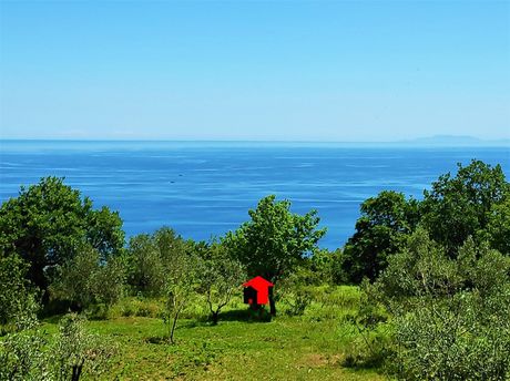 Αγροτεμάχια 4.423τ.μ. για πώληση-Μούρεσι » Τσαγκαράδα