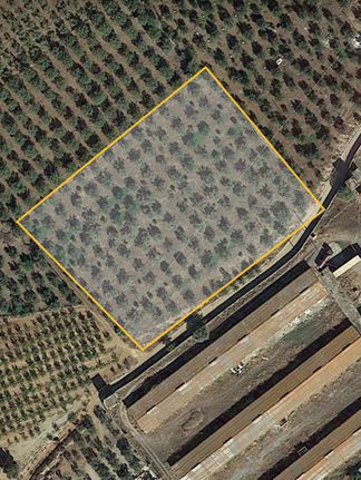 Αγροτεμάχια 8.185 τ.μ. για πώληση, Αρκαδία, Βόρεια Κυνουρία