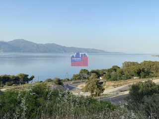 Αγροτεμάχια 1.330 τ.μ. για πώληση