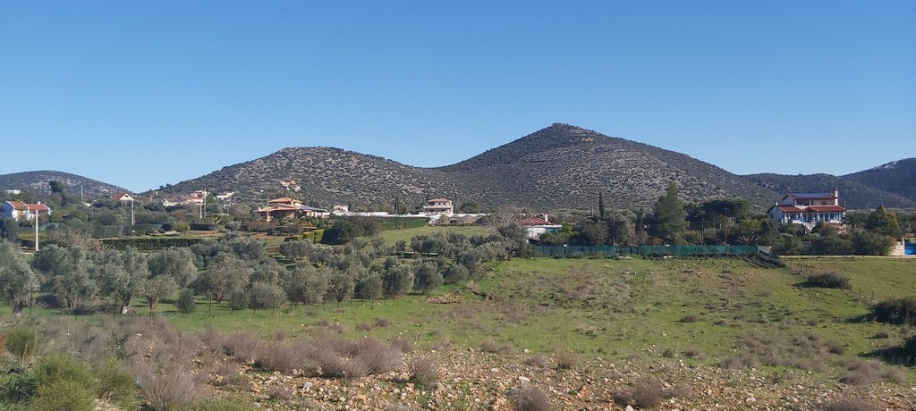 Αγροτεμάχια 5.900 τ.μ. προς πώληση, Αύρα Μαραθώνα