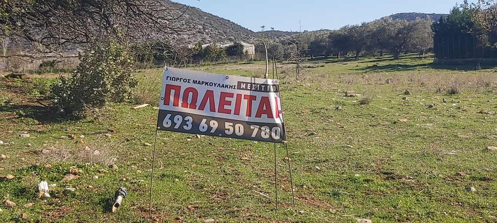 Αγροτεμάχια 5.900 τ.μ. προς πώληση, Αύρα Μαραθώνα