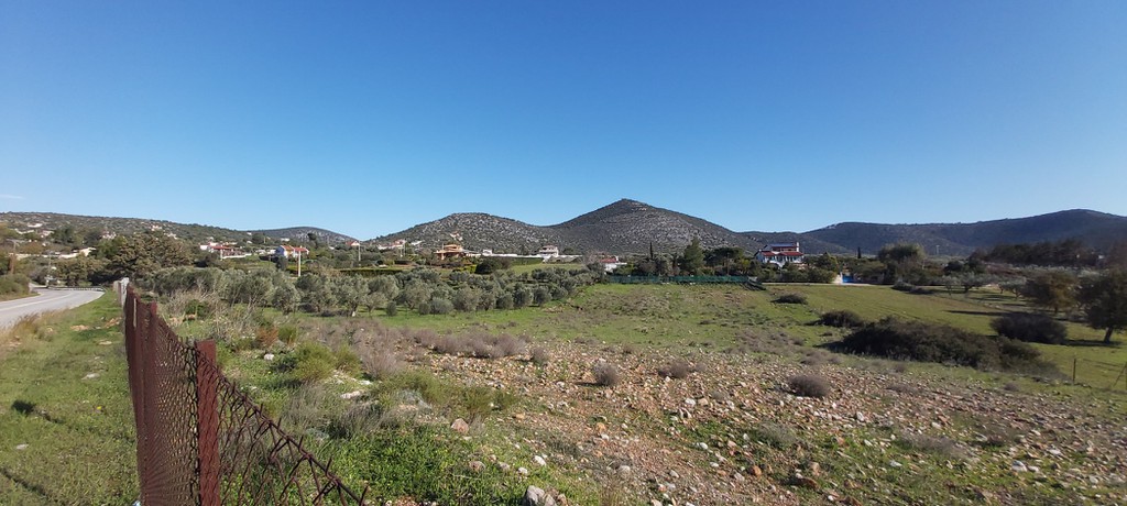 Αγροτεμάχια 5.900 τ.μ. προς πώληση, Αύρα Μαραθώνα