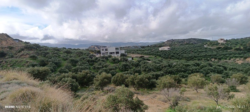 Αγροτεμάχια 13.500 τ.μ. πρός πώληση, Ν. Λασιθίου, Σητεία