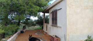 Αγροτεμάχια 13.500 τ.μ. για πώληση, Ν. Λασιθίου, Σητεία-thumb-10