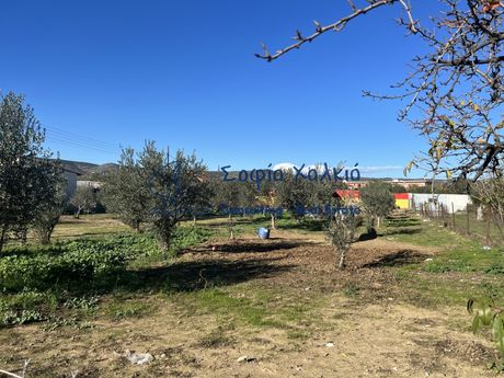 Οικόπεδο 1.300 τ.μ. για πώληση