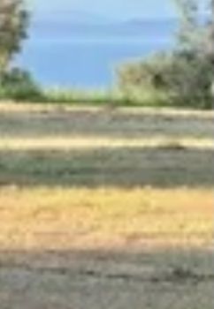 Οικόπεδο 2.746τ.μ. για πώληση-Καλύβια θορικού » Λαγονήσι