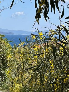 Οικόπεδο 530 τ.μ. για πώληση