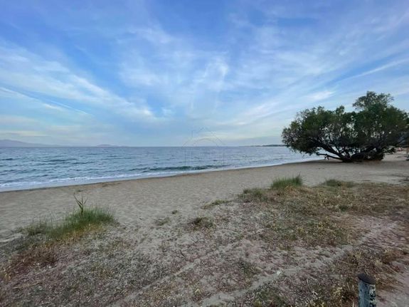 Οικόπεδο 4.300 τ.μ. για πώληση, Αθήνα - Ανατολικά Προάστια, Νέα Μάκρη