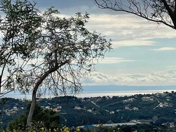 Οικόπεδο 520 τ.μ. για πώληση, Αττική - Υπόλοιπο, Ραφήνα