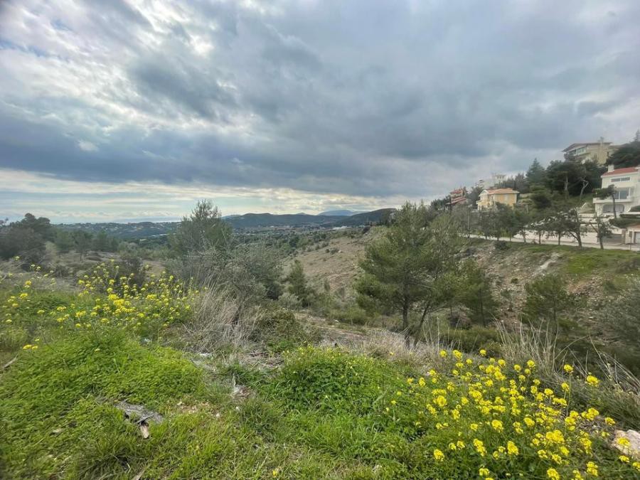 Οικόπεδο 520 τ.μ. πρός πώληση, Αττική - Υπόλοιπο, Ραφήνα