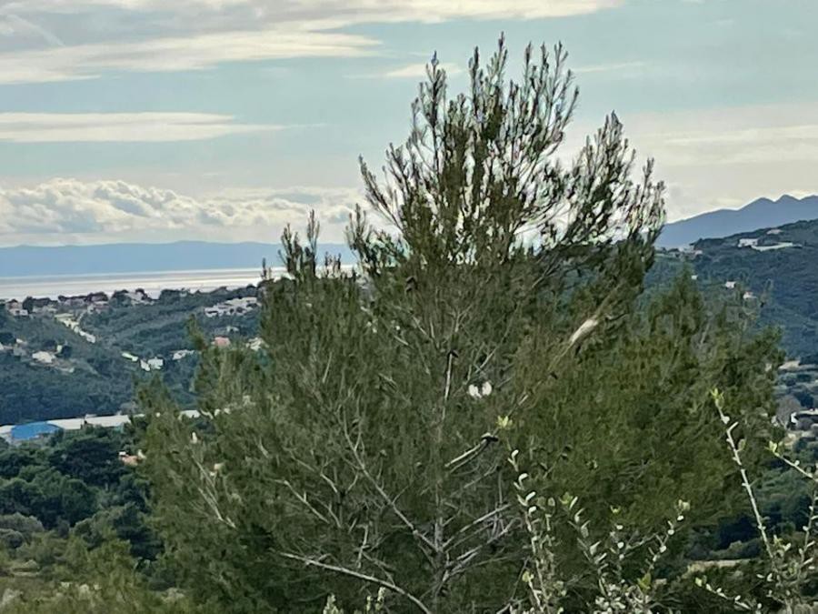 Οικόπεδο 520 τ.μ. πρός πώληση, Αττική - Υπόλοιπο, Ραφήνα