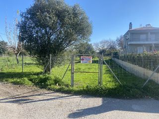Οικόπεδο 537 τ.μ. πρός πώληση, Αχαΐα, Ερίνεο-thumb-14